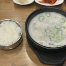 홍대점심, 국밥 맛집ㅣ돼지국밥 맛있는 돈수백 홍대점 후기