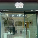 한솔초등학교 | 대구 달서구 고양이 미용 두마리/ 다묘가정 무마취 미용 후기 - 뽀솜뽀솜