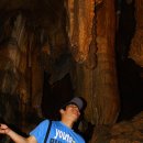 단양한우 목장 이미지