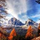 연서정형외과의원 이미지