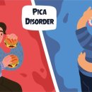PICA PICA 이미지