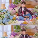 꽃보다 Dog 이미지