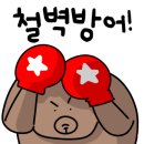 UFC 국제 GYM 이미지