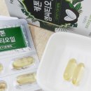 세이네이처 이미지