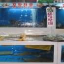 낭만상회 이미지