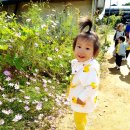 중산농장 이미지
