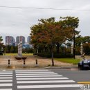 명지근린공원 유아숲체험원 이미지