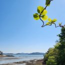 퍼플섬민박 이미지