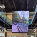 송송찻집