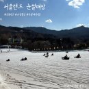 [여행]서울랜드 눈썰매장 방문후기 (요금, 운영시간, 주차장, 대기시간)
