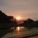 우리마을좋은사람들 이미지