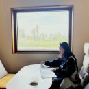 (주)큰사람유통 장수국밥 | 제주 우정여행_응답하라 제주(1) 제주 서쪽 코스｜벚꽃 여행