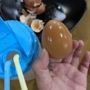 화산스파랜드 이미지