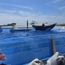 고베 스마 씨월드 후기 🐬 아이와 가기 좋은 고베 가족여행 추천코스! 범고래쇼 물세례 실화