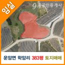 섬진강공인중개사사무소 이미지