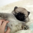 수원-0918 이미지