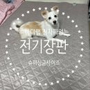휴바디 | [생활] 휴바디랩 전자파없는 전기장판(슈퍼싱글) 내돈내산후기!