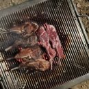 솔내음캠핑장 이미지