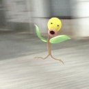지음포토