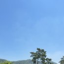 파인비치 이미지