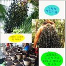 옥산농원 이미지