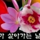 무병장수