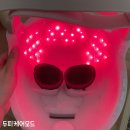리네이처 위드 셀더마 LED 마스크로 스페셜한 홈케어 피부관리 ♥