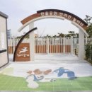 시흥시동물누리보호센터 동물병원 이미지