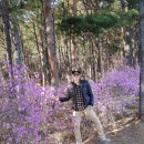 형동암거교 | [청주 여행] 상당히 멋지고 걷기 힘든 <상당산성>