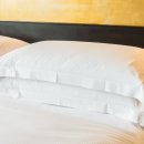 청암 행정사 사무소 이미지