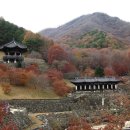 삼성궁 이미지