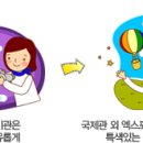 여수엑스포 관람포인트... 이미지