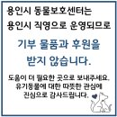 용인시 동물보호센터 이미지