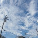 나비골 참숯 이미지