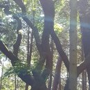 별장파크 이미지