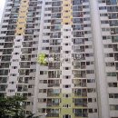 신명로 Daum카페