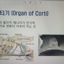 스마트히어링 대구점 이미지