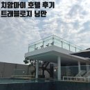 T7 HOTEL | 베트남 치앙마이 트래블로지 님만 치앙마이 후기 (조식, 뷔페, 수영장, 무료툭툭이)