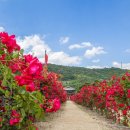 온달관광지 이미지