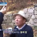 영원푸드 이미지