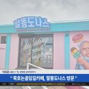 묵호 논골담길 카페 &#34;말똥도나스&#34; 방문 후기 (부제: 리버뷰, 시티뷰, 알라뷰.. 아니고 오션뷰 카페)