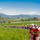 풍류농장 이미지