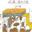 온각 이미지