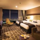 소노캄 고양 이미지