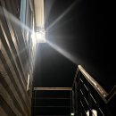 펜션 이상한 앨리스 이미지