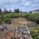 하예동-15 이미지