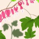 수채화와 디지털 보태니컬 드로잉 이미지