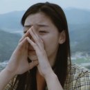 개라다이스 이미지