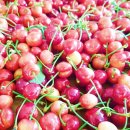 경주농장 이미지