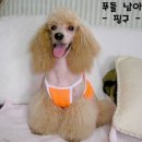 또또행복
